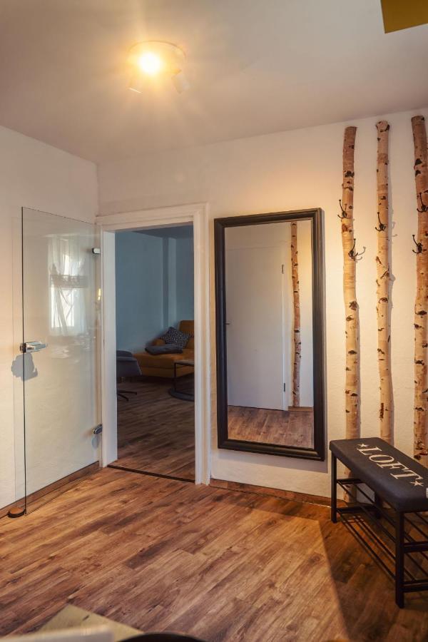 Kunstvoll: Neues, Großes Designer-apartment Beim Lutherplatz * Meißen